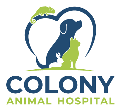 Colony Animal Hospital